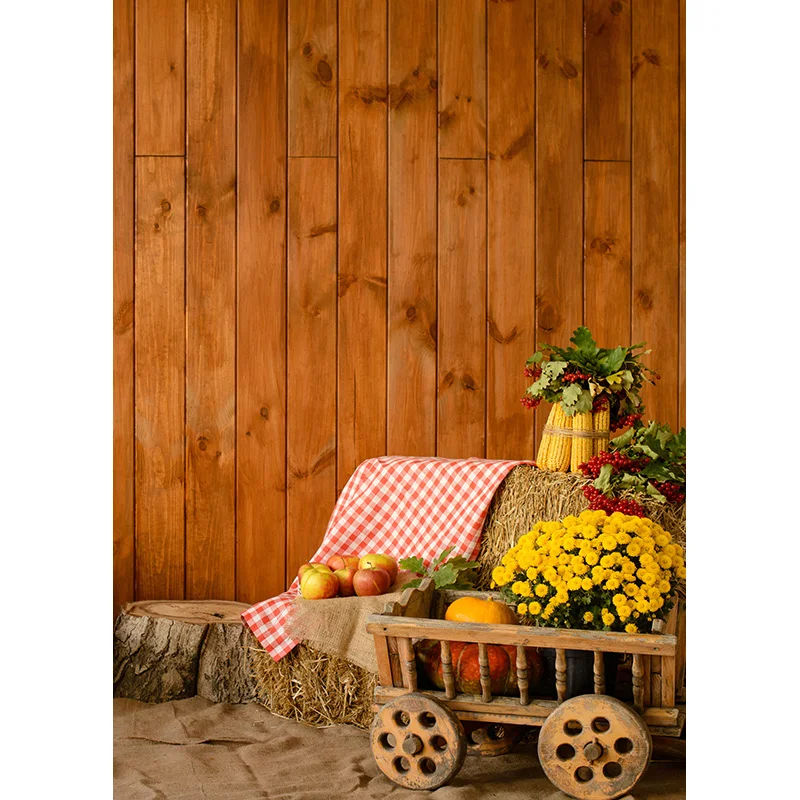 Easter Eggs Rabbit Photography Backdrops Photo Studio Props Spring Flowers Child Baby Portrait Photo Backdrops  21430 CJ-02