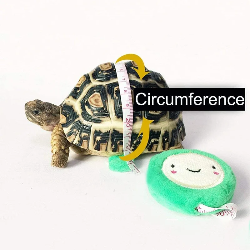 Turtle Lizard Pet Collar with Leash Bell Chameleon Guinea Pig Small Pet Outdoor Activity Reptile Traction Rope- Upgraded Version