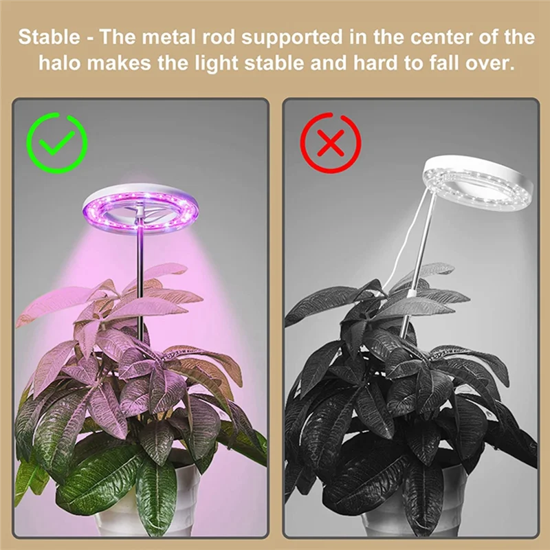 

Y51A-Plant Grow Light LED Growing Lamp Full Spectrum For Indoor Plants Bonsai Height Adjustable Dimmable & Auto Timer.EU Plug Du