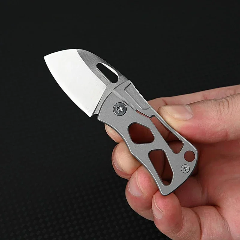 Mini Portable Folding Knife Stainless Steel Blade Outdoor Travel Camping Tool Keychain Accessories