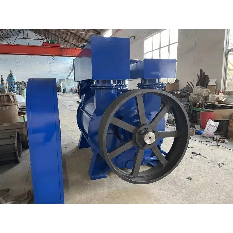 Picture 5: 2be Series Liquid Ring Vacuum Pump NASH Water Ring Vacuum Pump