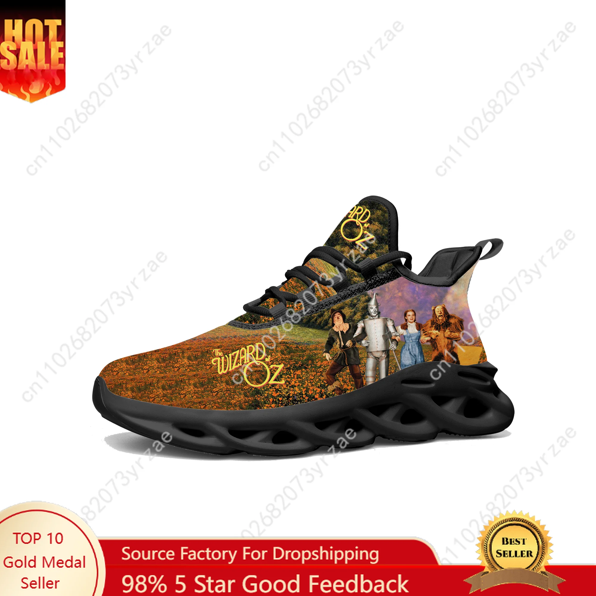 

The Wizard of Oz Lace Mesh Shoes Flat Sneaker Mens Womens Sports Shoe High Quality Personalized Sports Sneakers Customize Footwe