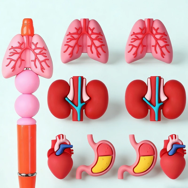 

10/20Pcs Silicone Beads Medicine Organ 3D Focal Beads Jewellery Making DIY Keychain Beaded Pen Bracelets Jewelry Accessories