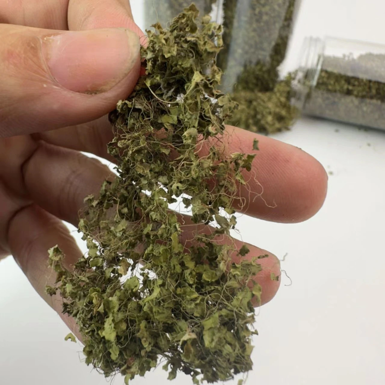 نموذج صغير من الكرمة والزهور نباتات خضراء صناعية، مناسبة لبيوت النماذج والمناظر الطبيعية والديكور العسكري لخزان الحرف اليدوية