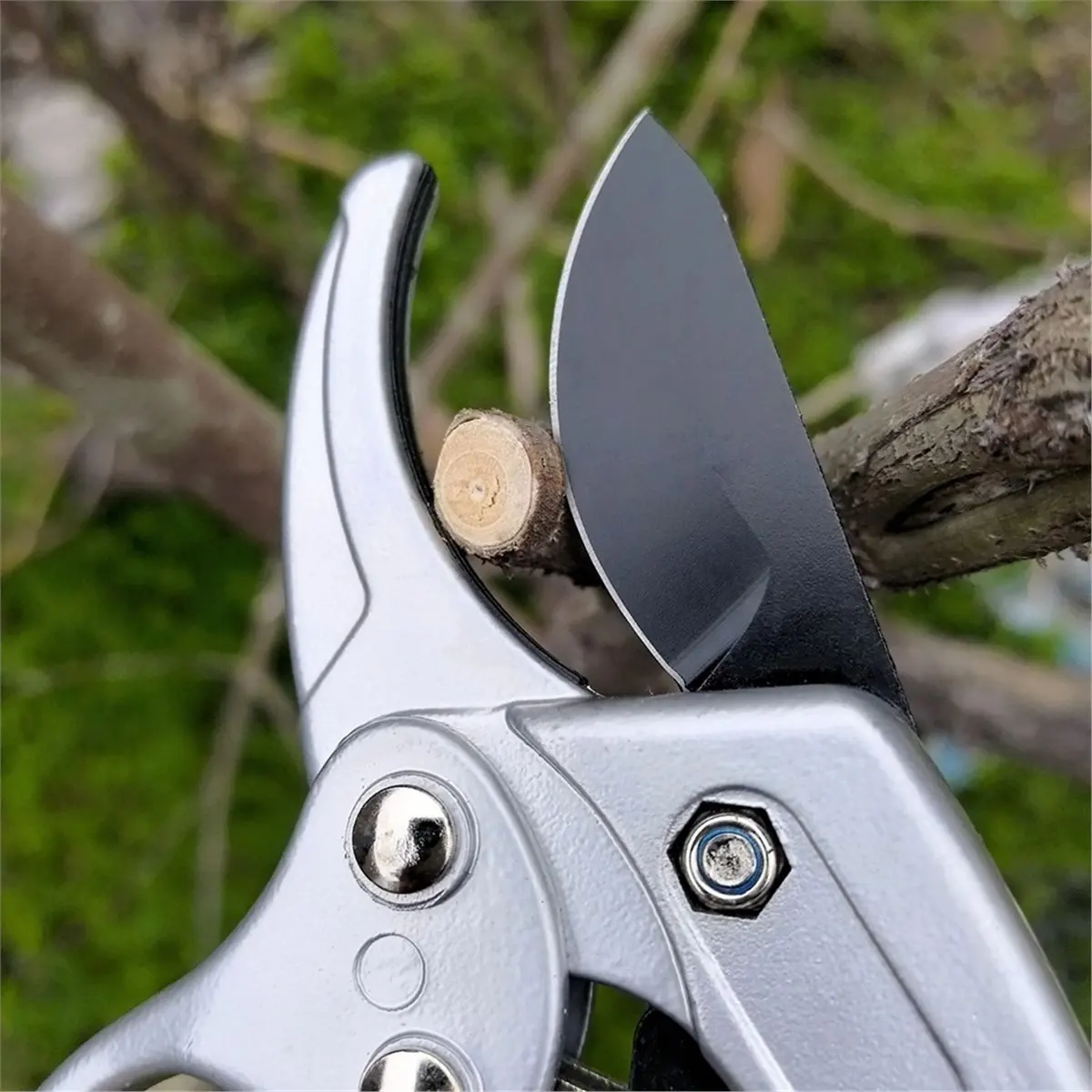 ABZJ Garden Supplies Labor Saving Garden Pruning Shear Non-Slip Handle Branch Shear Carbon Steel Garden Scissors Tree