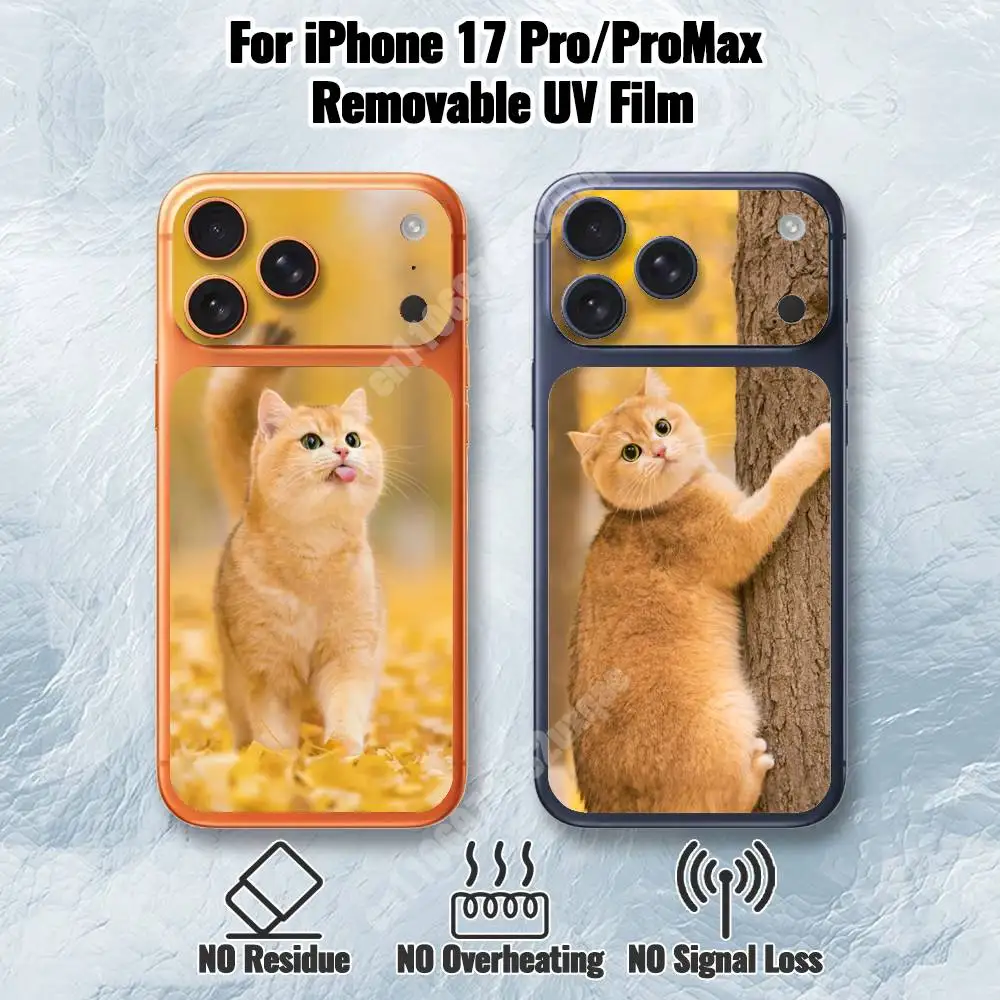 

Golden British Shorthair Cat Removable UV Film for iPhone 17 Pro 17 ProMax HD Decal Skin