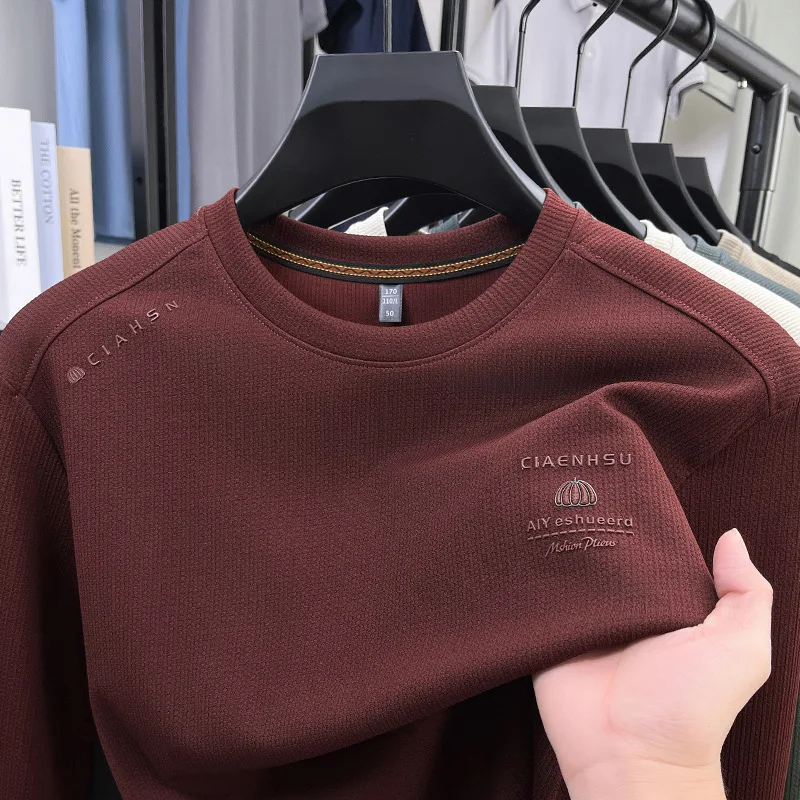 

Men's T-shirt 2025 New Long-sleeved Crew Neck Autumn Top, Bottom Wear, Jacquard Solid Color T-shirt