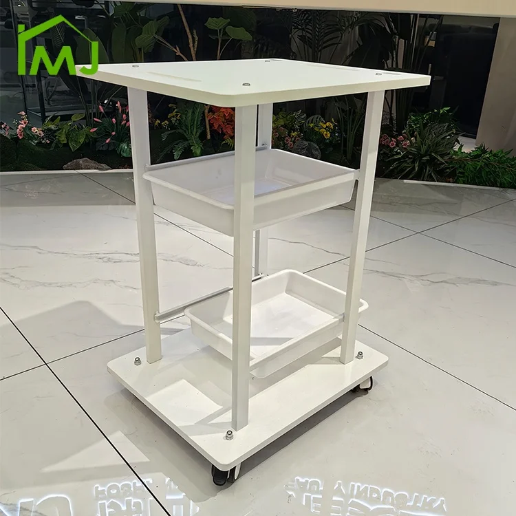 

Modern Nail Beauty Salon Barber Storage Tool Hairdressing Makeup Trolley