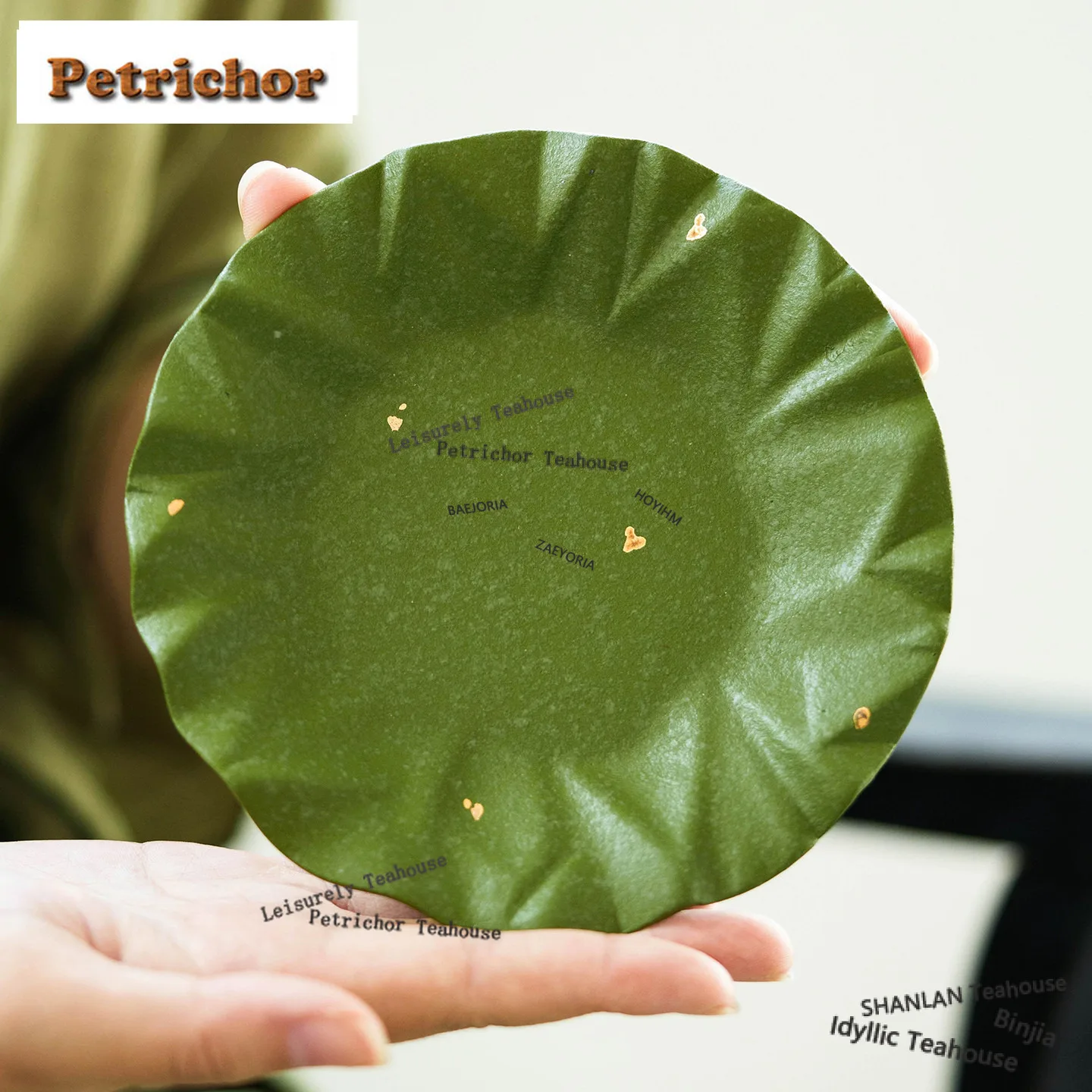 HOYIHM Citrus Green Sprinkle Gold Pot Bearing Holder Teacup Dessert Serving Trays Dry Soaking Table Tea Tray Coasters Cha
