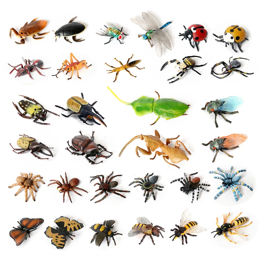 Simulation Insect A…