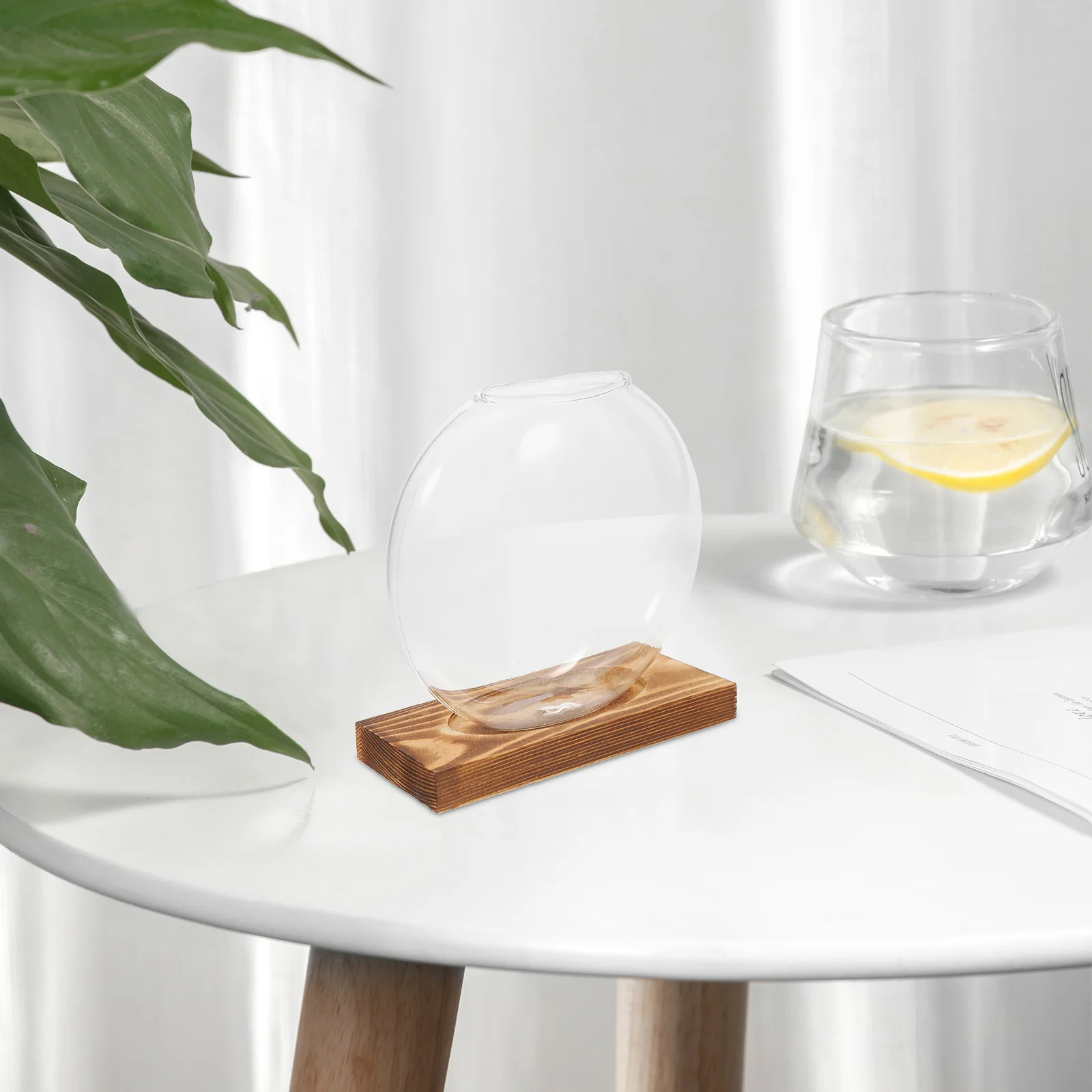 

Hydroponic Glass Vase for Indoor Plant Propagation Station Transparent Display Wooden Base Desktop Terrarium Container Water