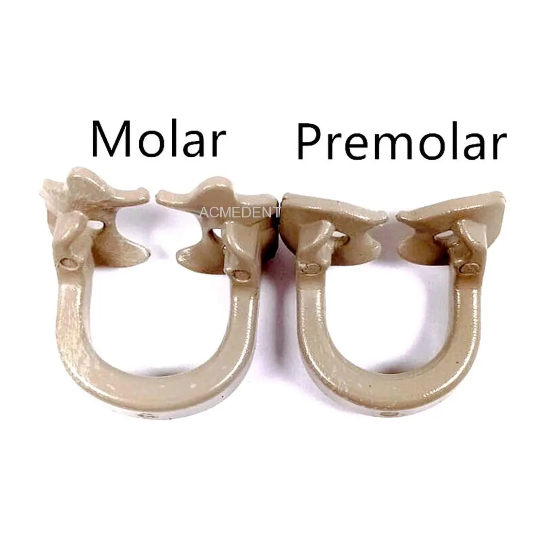 1 Pair Dental Tools Materials Rubber Dam Clamp Resin Material Oral Care Dentist Dentistry Odontologia Lab Instrument