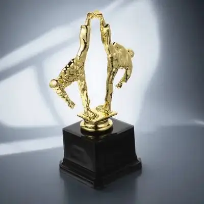 

Martial Move Taekwondo Winner Trophy Bright Colorful Award Cup Party Competition Ceremony Celebration Prize for Children