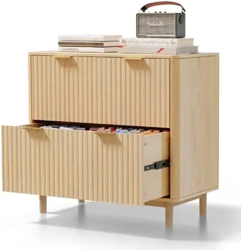 2 Drawer File Cabinet, Home Office Filing Organizer, for Letter Legal A4 Size File Folder Storage, Modern Style Fluted