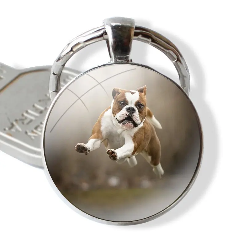 Keychain Handmade Glass Cabochon Key Ring Holder Pendant Key Chains Olde English Bulldog