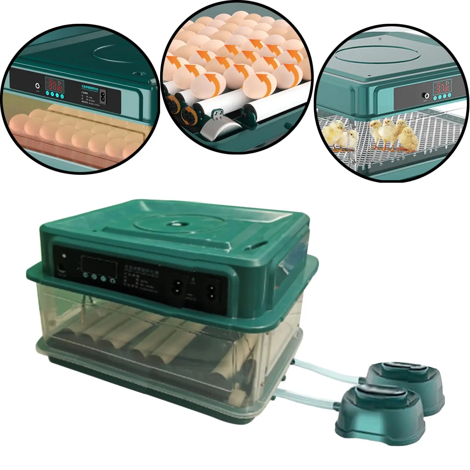 

Automatic Egg Incubator, Chicken Hatcher Auto Turner with Temperature Control