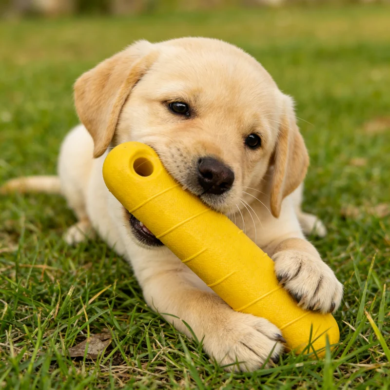 Hunde-Eva-Kau-Spielzeug: Unzerstörbares, sicheres und robustes Hundespielzeug für große Hunde – ideal für Training und zum Kauen – Detail 1