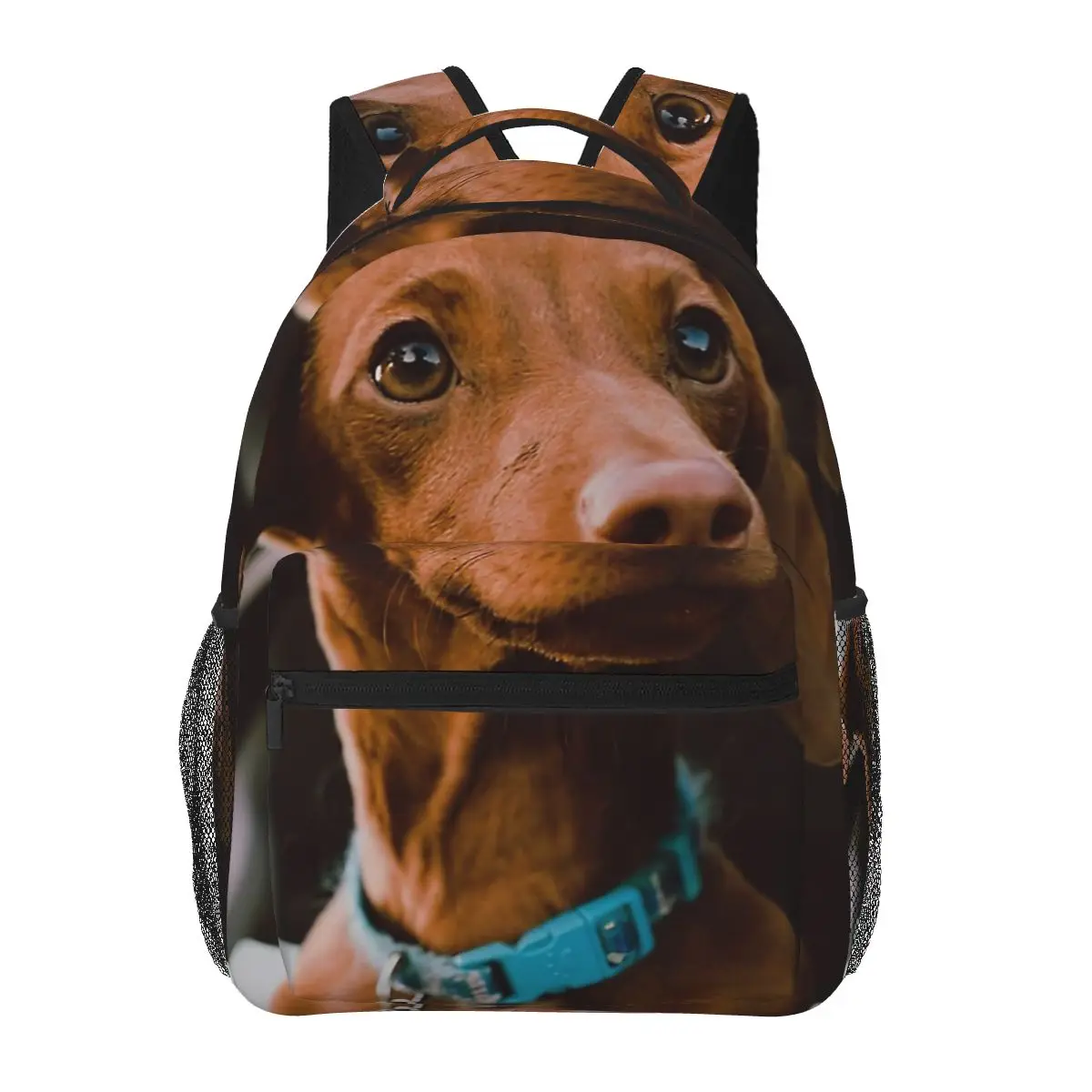 Dachshund Dog Photo Portrait With Car Backpack for Girls Boys Travel RucksackBackpacks for Teenage school bag