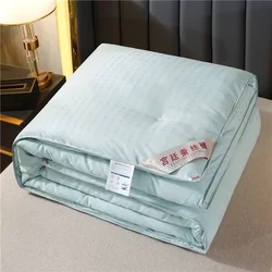 Formtheo Handmade Silk Quilt Mulberry Silk Winter Spring and Autumn Bedspread Comforter Set 200*230 220*240