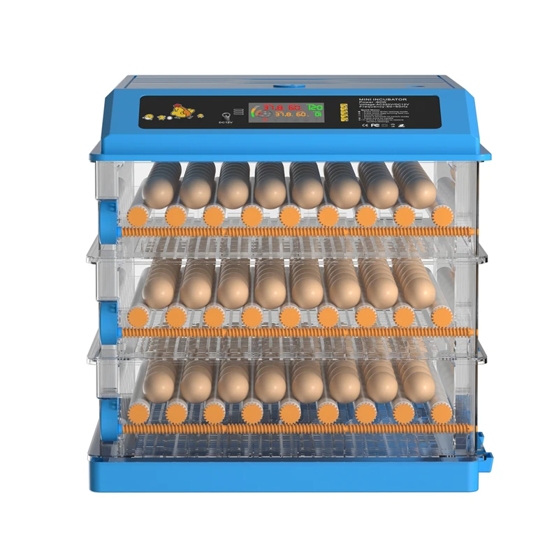 Poultry Farm Egg In…