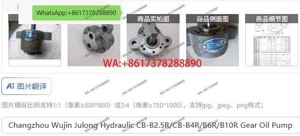 Changzhou Wujin Julong Hydraulic CB-B2.5R/CB-B4R/B6R/B10R Gear Oil Pump
