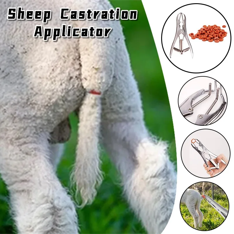 

Sheep Broken Tail Castration Forceps Goat Castration Bander With 100 Castrator Rings Flared Plier for Cattle Goat Cow New