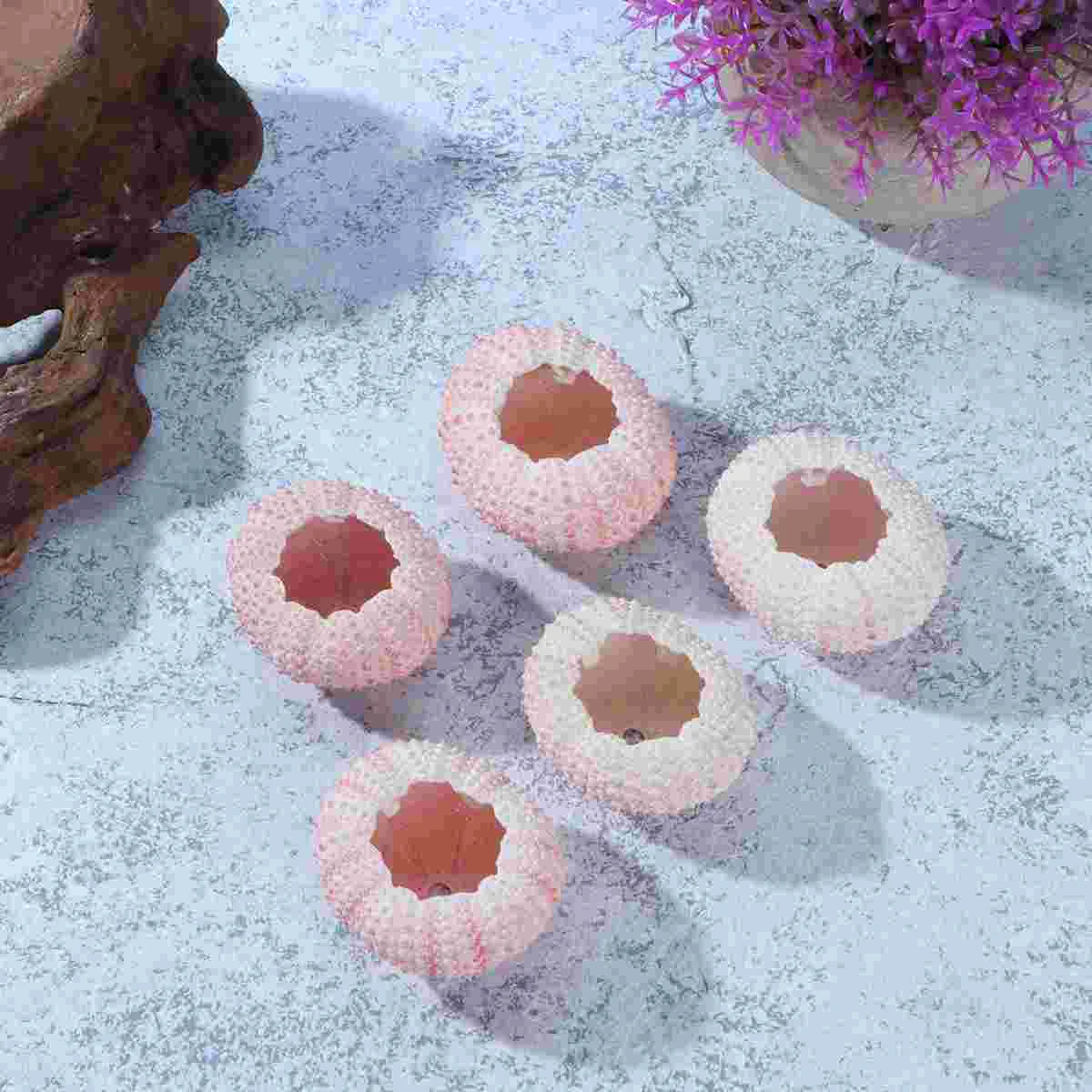 

6 Pcs Shell Toy DIY Hand Craft Material Sea Urchin Shells Tillandsia Plants Container Air Planting Pot Natural Holder Decorate