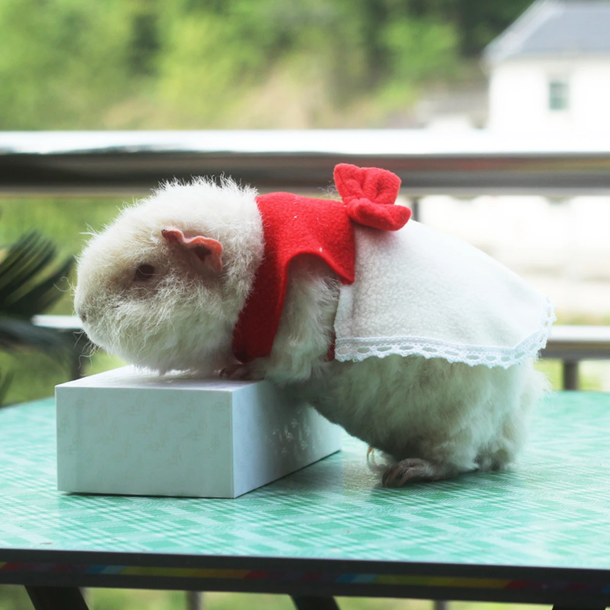 

Pet Clothes Sweet Stylish Design Comfortable Texture Easy On Off Special Occasion Photo Hamster Squirrel Pig Red Skirt Pet Dress