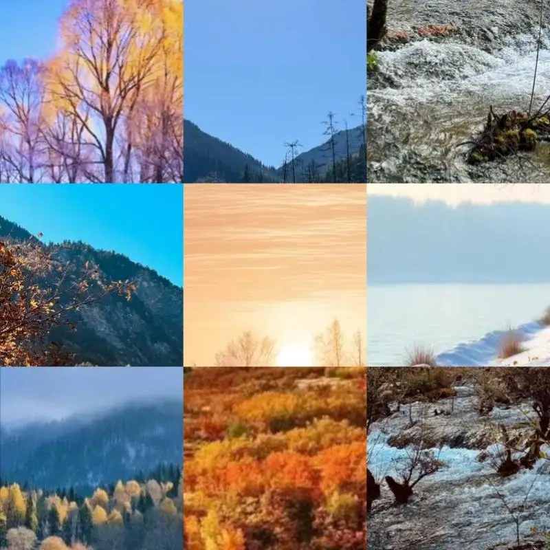 

DreamPSU Rev2.0 12V Power Supply Board for SEGA DreamCast Game Console Replace