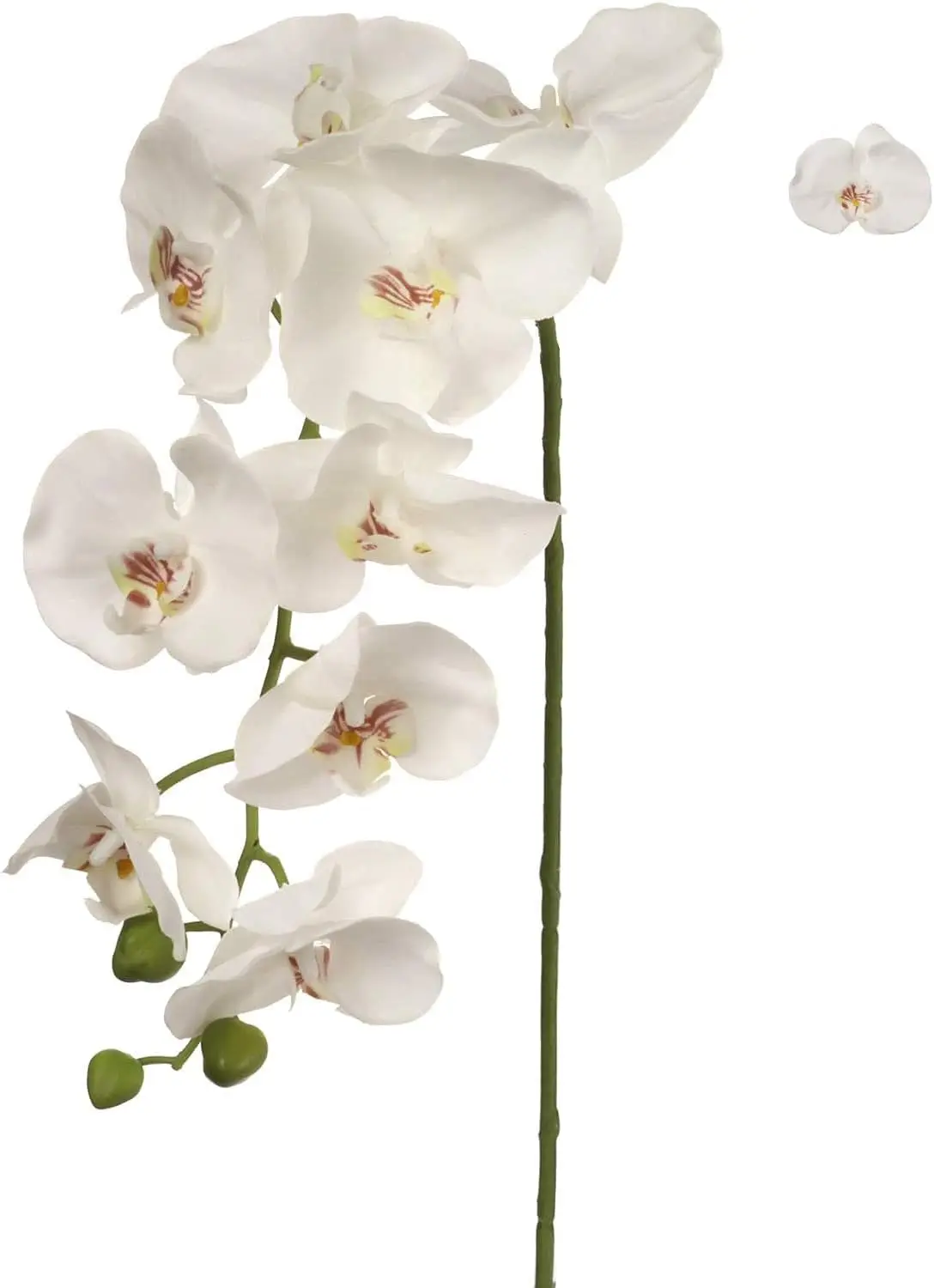 

49" Artificial Orchid Stem – Real Touch Phalaenopsis with 16 Large Silk Flower Heads for Home Decor, Wedding, Office