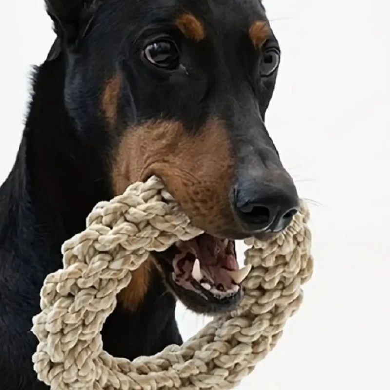 Thumbnail 2 - #18 Top 50 Dog Rope Toys Worth Buying In 2026