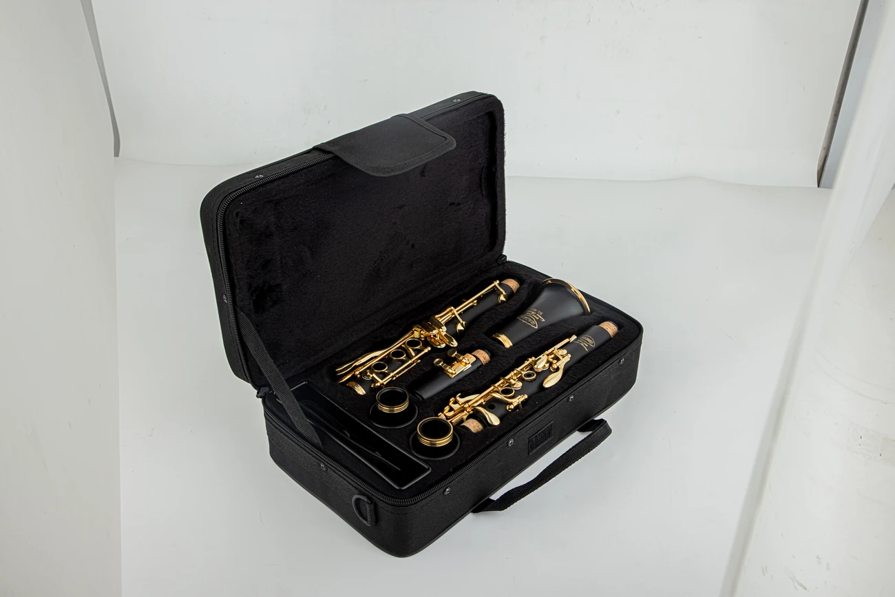 SADSN SCL-500 الكلارينيت Bb لحن الباكليت الخشب الذهب مفاتيح أداة النفخ الخشبية المهنية مع ملحقات الحقيبة #2