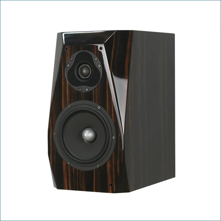 HC-100 SCAN-SPEAK 6.5 inch 66200+SEAS E0042 6.5 inch ebony piano lacquer bookshelf speaker 8Ohm