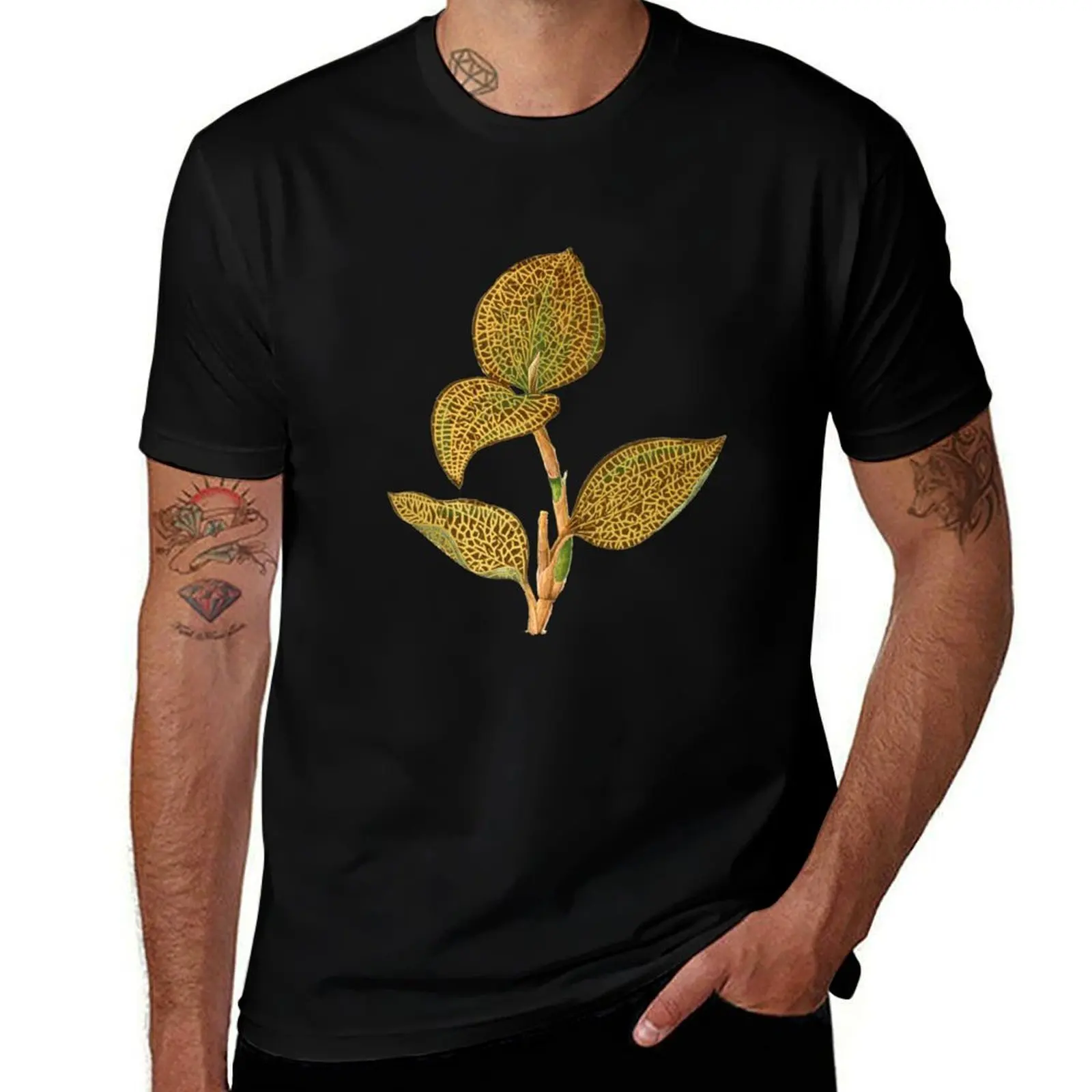 Jewel Orchid-Anectochilus setaceus-Camiseta Rothschild, camisetas para hombre, camiseta vintage gráfica