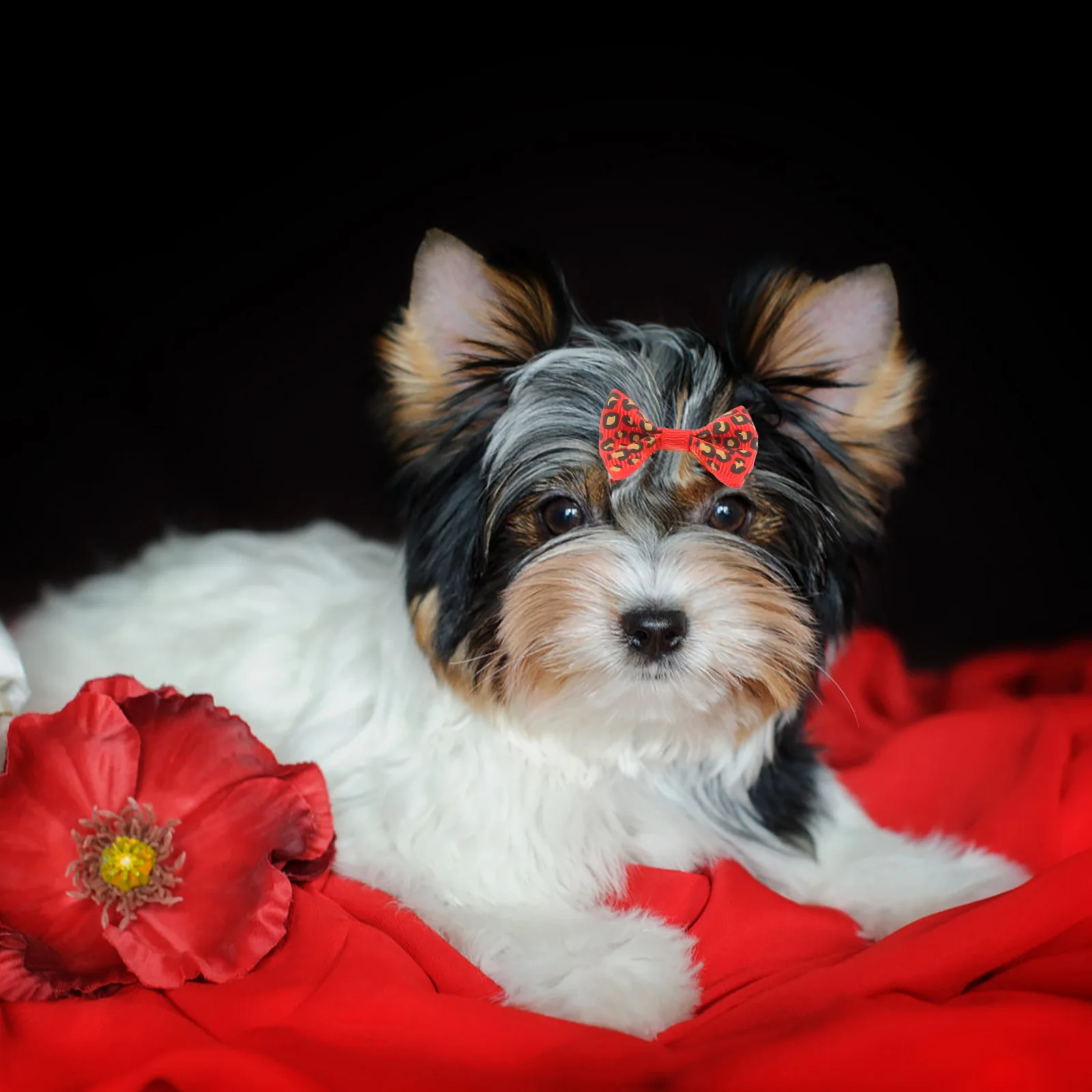 

50Pcs Pet Hair Tie Adorable Pet Bowtie Decorative Cat Bowknot Cloth Dog Bow for Puppy Rabbit Horse Grooming Decoration