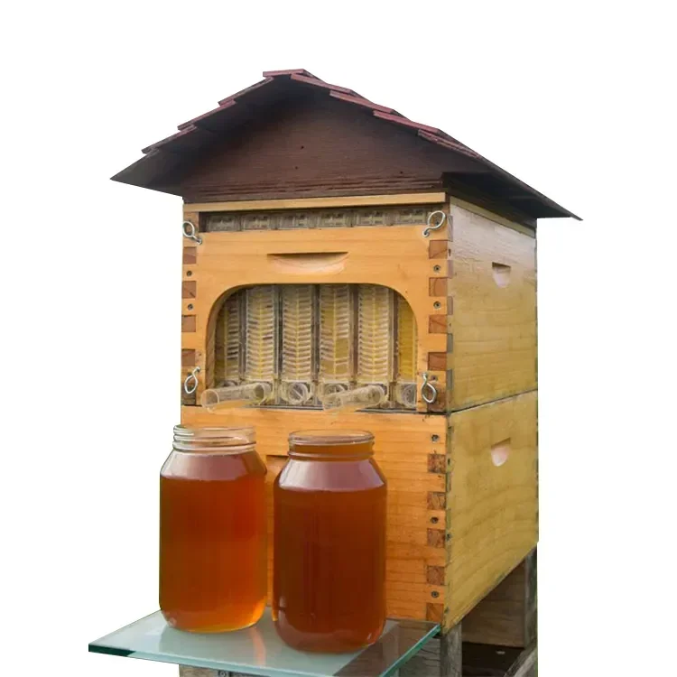 

Chinese Wax Coated China Fir Automatic Self Flowing Honey Bee Hive 7 Auto Frames Apiculture