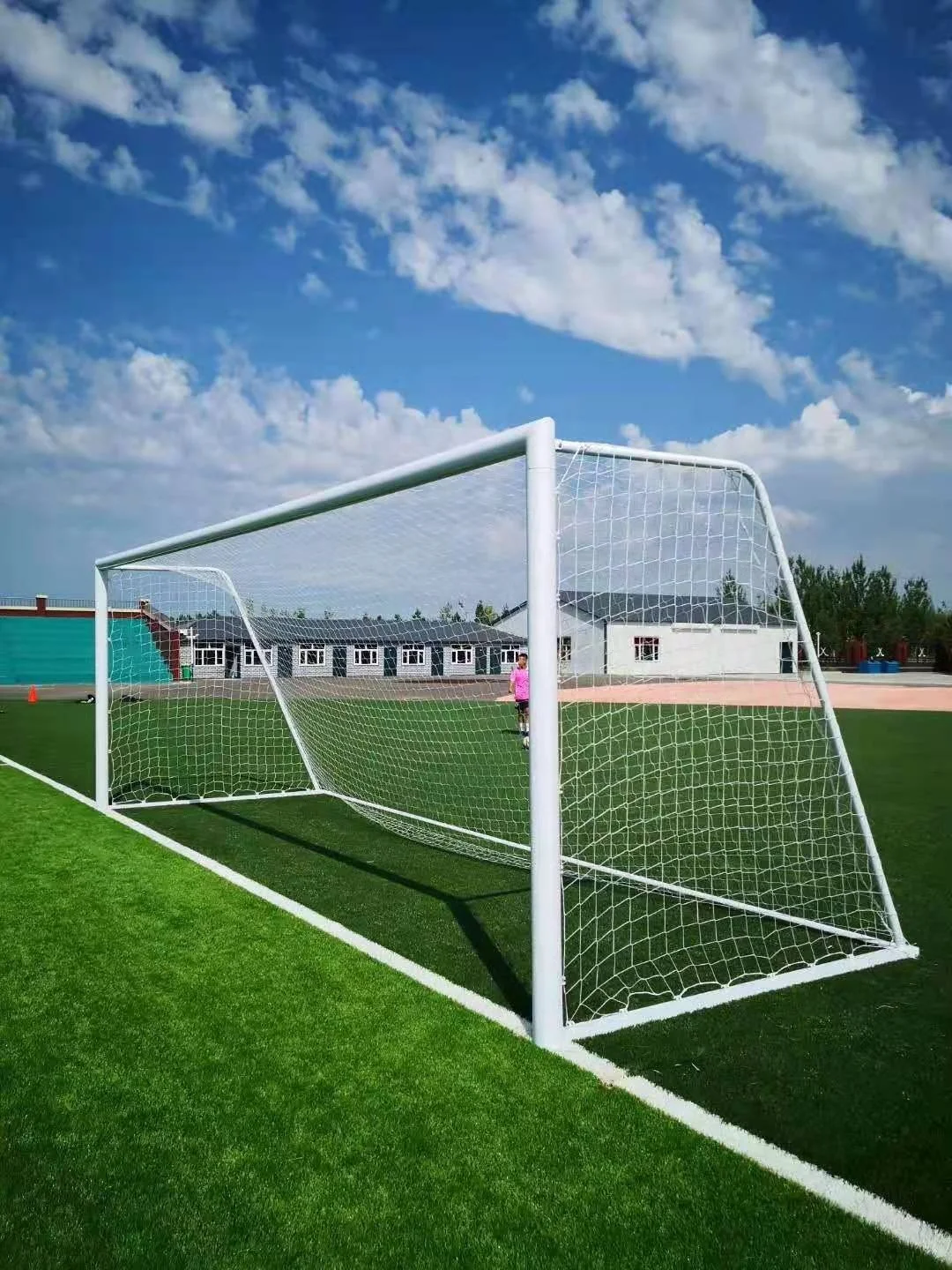 Professional Aluminium Alloy Soccer/Football Goal