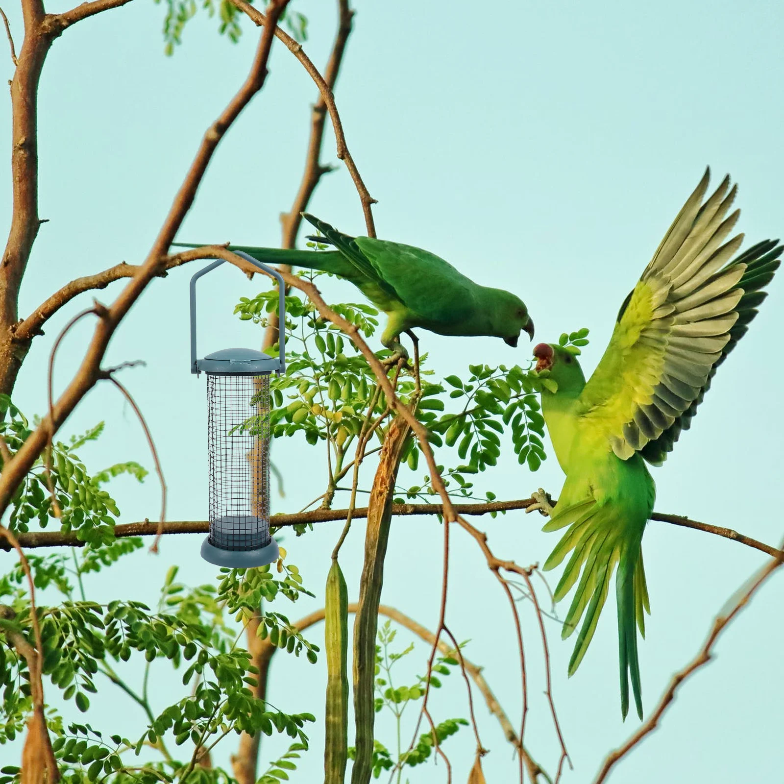 

1Pcs Outdoor Hanging Bird Feeder Plastic Feeding Container Garden Ornament Backyard Accessory Bird Food Feeder