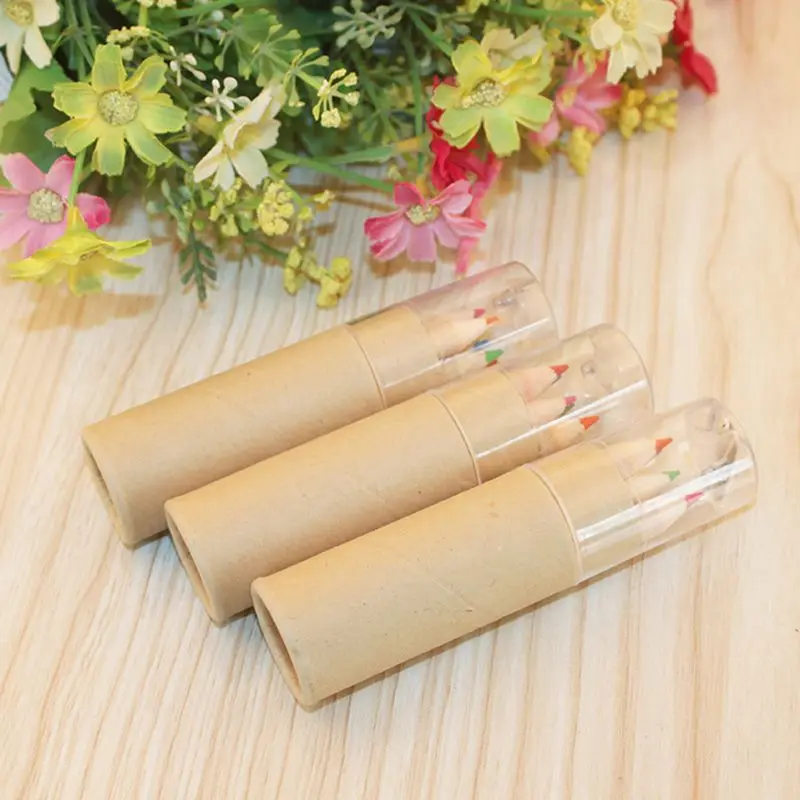 6 Paint Colored Pencils,Pre- Sharpened,HB Core Wooden Colored Pencils With Sharpener For Drawing Art,Sketching,Shading lapis de