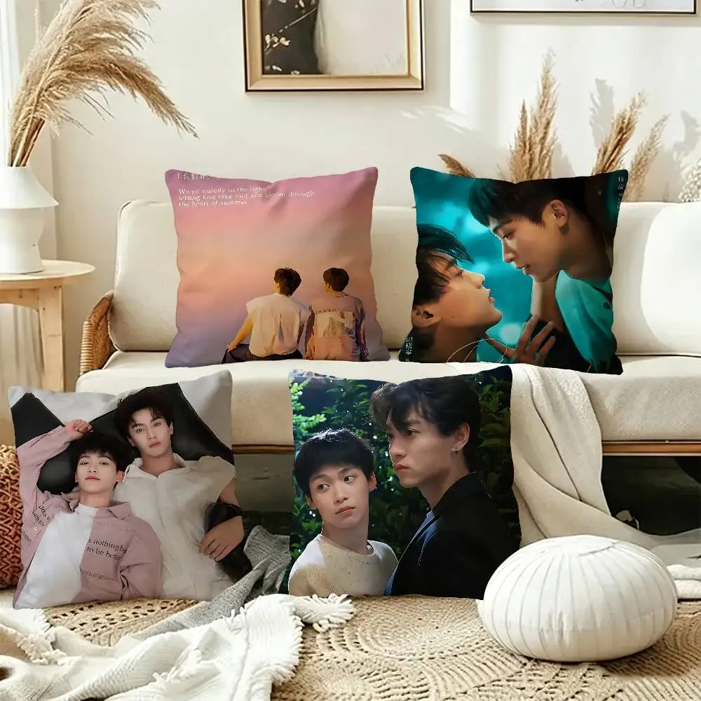 R-Revenged Love Movie Cushion Cover Pillowcase Upholstery Sofa Throw Pillow Home Decor Pillowcas
