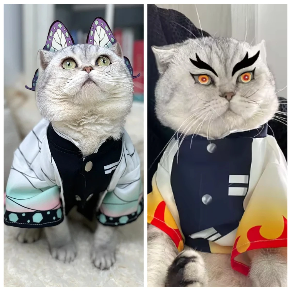 

Japanese anime Demon killer Kimetsu Yaiba cat dog pet clothes Rengoku Kyoujurou Cat Clothes COS Flame Pillar Rengoku Dresses