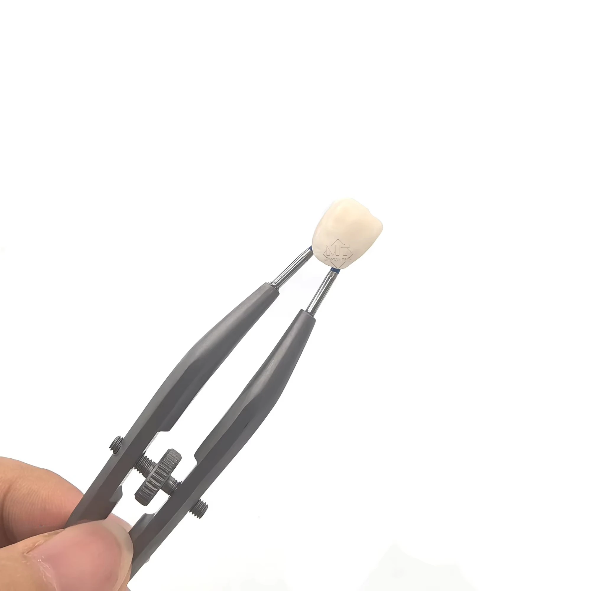Lab Fixture Internal Crown Clamp Diamond Tip Stainless Steel Handle Pointed.Zirconia Crown Glazing Coloring Sleeve Support Tool