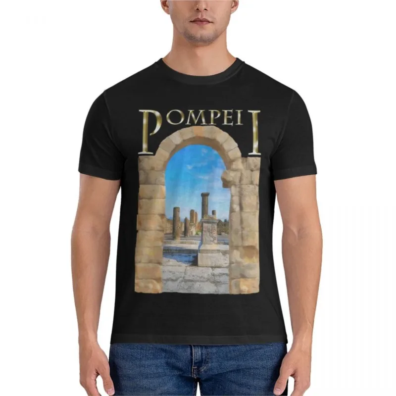 

The Ruins Of Ancient Pompeii Graphic T-Shirt mens cotton t shirts t shirts men mens graphic t-shirts pack