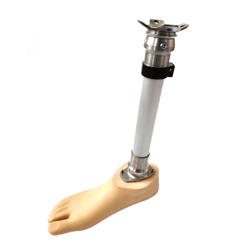 

Artificial Foot Prosthetic Sach Foot Prosthetic Foot