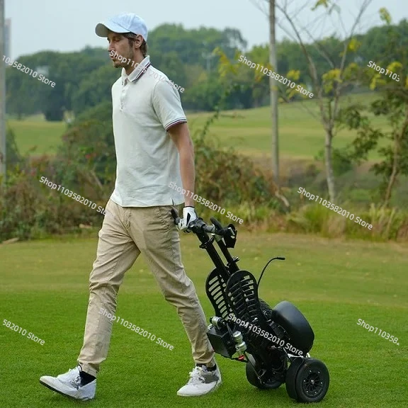 Lightweight Foldable Golf Cart with Umbrella Stand Storage Seat Handle Wheel Compact Stainless Steel Walk Three Feet