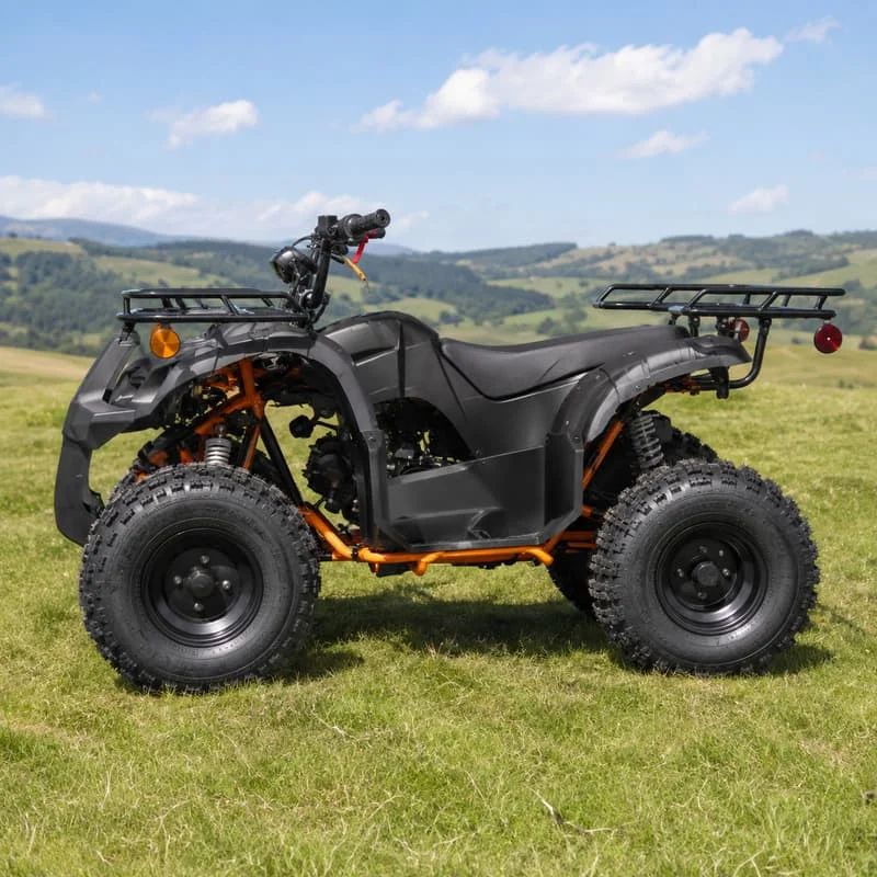 Adult Racing Buggy Customized 4 Wheel ATV All Terrain Quad Bike Offroad Vehicle Performance Design Wide Track Stability