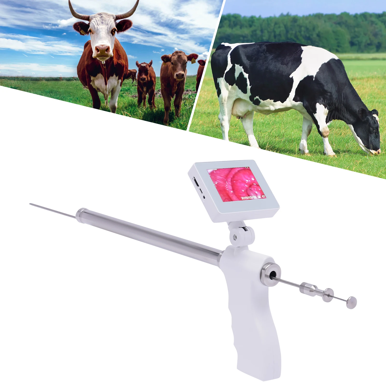 Visual Insemination Gun Cattle Cows for Livestock Artificial Insemination Kit HD
