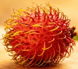 

2 In 1 808 Diode lasar Penghilang Rambut Permanen Q Switched Nd Yag Portabel 1064 Nm 1320 Nm Mesin lasar Penghilang Tato Picosec