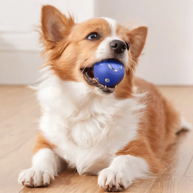 

Wholesale Small Classic & Funny USB Spinning Bouncing Light-Up Dog Toy Interactive Rubber Pet Toy with Play Features