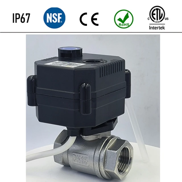 Electric Ball Valve 1 Inch with Manual Override 12v 24v 220v Brass SS304 UPVC 2 Way Motorized Ball Valve